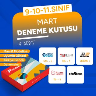 9 - 10 - 11. SINIF MART DENEME KUTUSU